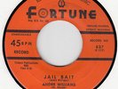 ANDRE WILLIAMS - JAIL BAIT / MY TEARS -  FORTUNE 45 #837  BLUES JIVER NM HEAR IT