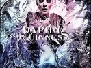 Optimist In Black [VINYL] Daphne Guinness Vinyl