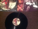 KATE BUSH - THE RED SHOES 1993 VINYL- RARE