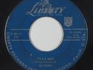 Rockabilly 45 - Al Casey - Willa Mae/She Gotta Shake - Liberty - mp3