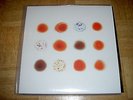 Peter Gabriel - Scratch My Back I'll Scratch Yours (Radiohead, Arcade Fire) 2 LP