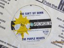 Purple Hearts (Lobby Loyde) - You Can't Sit Down - 1967 Sunshine 45