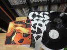 NEIL YOUNG - CROSBY STILLS & NASH - looking forward 2 Vinyl LP 1999 Mint
