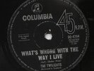 THE TWILIGHTS   Rare 1967 Aust Only 7
