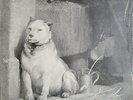 Pavlov´s Dog Pampered Menial CBS Vinyl LP