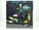 Patrick Wolf - The Bachelor 2LP [B-Ware]