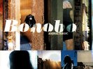 Bonobo - Animal Magic 2x LP Vinyl NEW