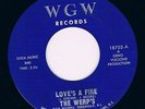 WERP'S love's a fire / shade's of blue HEAR  MINT- 60s GARAGE beat MOD psych