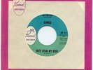 DJANGO KEN DAVIS FIREBALLS novelty 45 Norman Petty Studios 1962 Peacock Records