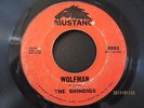 THE SHINDIGS / WOLFMAN / THUNDER REEF  tityshaker rockabilly  original 45
