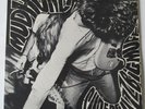 MUDHONEY 1988 Superfuzz Bigmuff 12