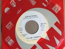 RITA LEE Y ROBERTO DE CARVALHO BAÑO DE ESPUMA MEXICAN 7” SINGLE WLP POP 80’S