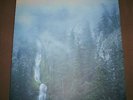 WOLVES IN THE THRONE ROOM - Diadem Of 12 Stars - 2 LP 2007 Black Vinyl