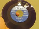 WRENS 45 Eleven roses / Love's something that's  Doowop RR-110 rare Purple color