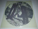 Hair LP by Ty Segall/White Fence Vinyl 2012 Drag City DC503