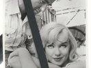 MARILYN MONROE- PHOTO ORIGINAL ESTUDIO-PROMO -FIL THE MISFITS-1961.-26+20. BON E