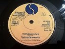 The Undertones Teenage Kicks Sire UK Promo 45 7