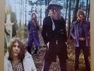 Mott The Hoople Wildlife rare 1971 UK Island label gatefold lp near ex