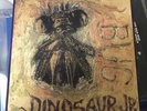 Dinosaur Jr. 