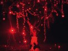 Sophie Hunger / The Danger Of Light - 2 LP + CD