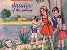 Daisies Of The Galaxy - Eels  Explicit V (Vinyl Used Very Good) Explicit Version