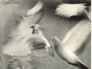 Donald Byrd - Free Form