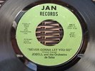 NORTHERN SOUL -  JODEL  -  NEVER  GONNA  LET  YOU  GO  -   JAN  RECORDS