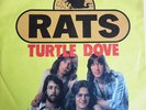 RATS   