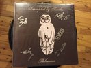 TRAMPLED BY TURTLES-PALOMINO 12