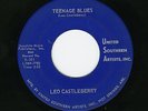 Rockabilly 45 LEO CASTLEBERRY Teenage Blues UNITED SOUTHERN ARTISTS
