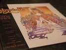 David Bowie Labyrinth Vinyl LP