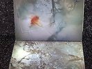 COCTEAU TWINS/HEAD OVER HEELS 1983 LP/SUNBURST'84 EP 4 AD/AMBIENT/PSYCH ART PUNK