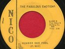 THE FABULOUS EMOTIONS 