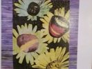 Guided by Voices Propeller L.p Rare
