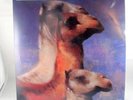 The Roches We Three Kings Paradox Records LP Album