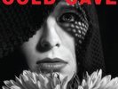 Cherish The Light Years [VINYL] Cold Cave Vinyl