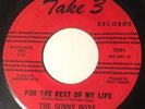 The Sunny Boys 45 Take 3 Lbl. Doo Wop RARE