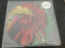 Pavement Watery Domestic Cock Vinyl Picture Disc Record LP Album Stephen Malkmus