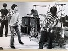 THE STONE ROSES. Genuine Autographed Photograph. COA.