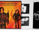 Primal Scream - Sonic Flower Groove Vinyl NM | LP Germany 1987 - Elevation ELV2