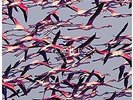 Deftones - Gore 2xLP (Color Vinyl)