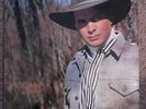 GARTH BROOKS / VINYL LP