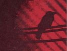 A Silver Mt. Zion, S - Born Into Trouble As the Sparks Fly Upward [New Vinyl LP]