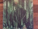 The Promise Ring Wood/Water LP