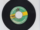 ONE DAY BELLY FULL  -  NOEL BROWN AS MASHA AND THE REALITIES  (70'S REGGAE  7