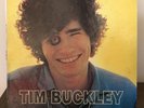 Goodbye And Hello by Tim Buckley 1967 Vinyl Elektra Records 1st Press Mono