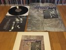 Throwing Muses University LP UK 1995  POSTER OIS Pixies Breeders Belly