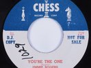 Blues 45 JIMMIE ROGERS You're The One CHESS HEAR