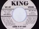 Doo Wop R&B 45 HURRICANES Raining In My Heart KING HEAR