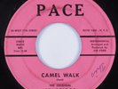 Instrumental Rocker Tittyshaker 45 STARFIRES Camel Walk PACE HEAR